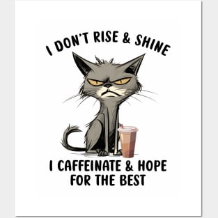 I Don't Rise & Shine; I Caffeinate & Hope For The Best Posters and Art